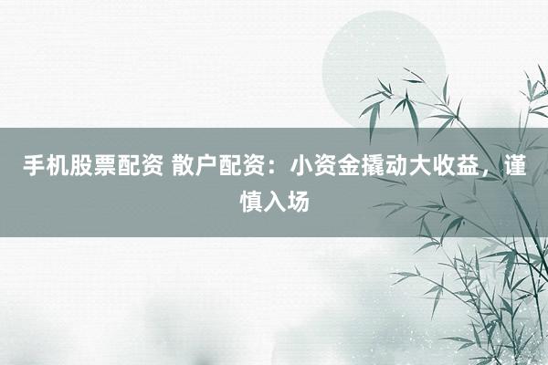 手机股票配资 散户配资：小资金撬动大收益，谨慎入场