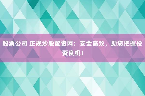 股票公司 正规炒股配资网：安全高效，助您把握投资良机！