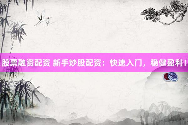股票融资配资 新手炒股配资：快速入门，稳健盈利！