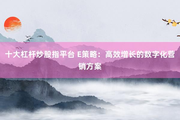 十大杠杆炒股指平台 E策略：高效增长的数字化营销方案