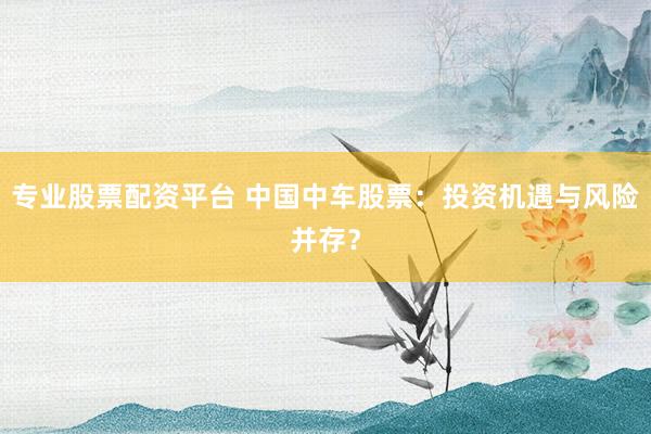 专业股票配资平台 中国中车股票：投资机遇与风险并存？