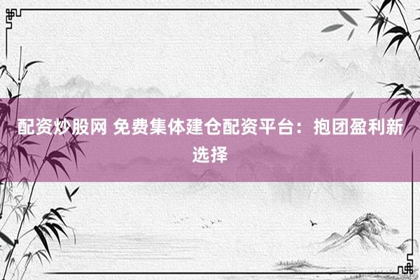 配资炒股网 免费集体建仓配资平台：抱团盈利新选择