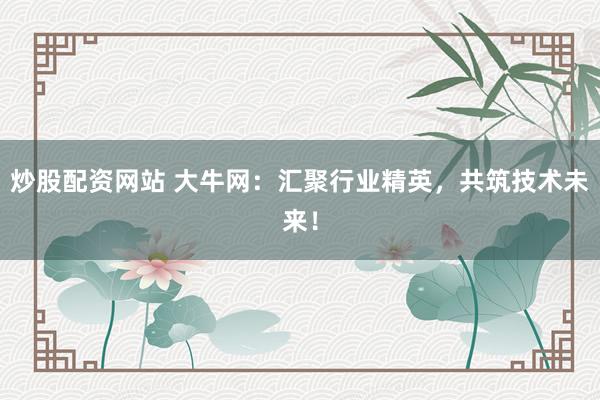 炒股配资网站 大牛网:汇聚行业精英,共筑技术未来!