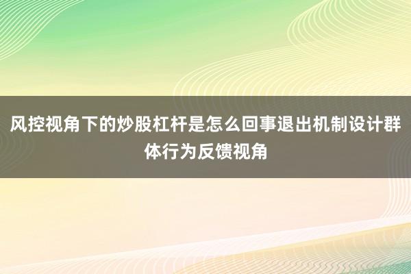 风控视角下的炒股杠杆是怎么回事退出机制设计群体行为反馈视角