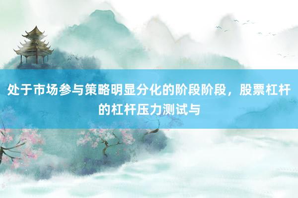 处于市场参与策略明显分化的阶段阶段，股票杠杆的杠杆压力测试与